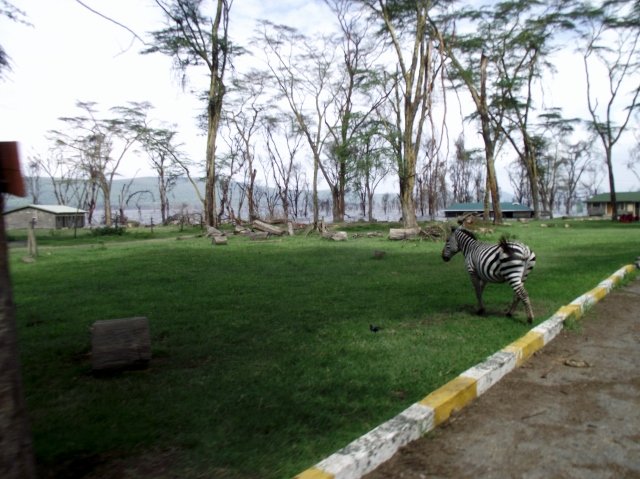Kenia 092